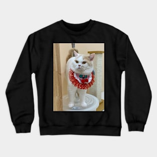 the handsome white cats Crewneck Sweatshirt